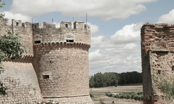 castillo Grajal de Campos · pincerna vinos